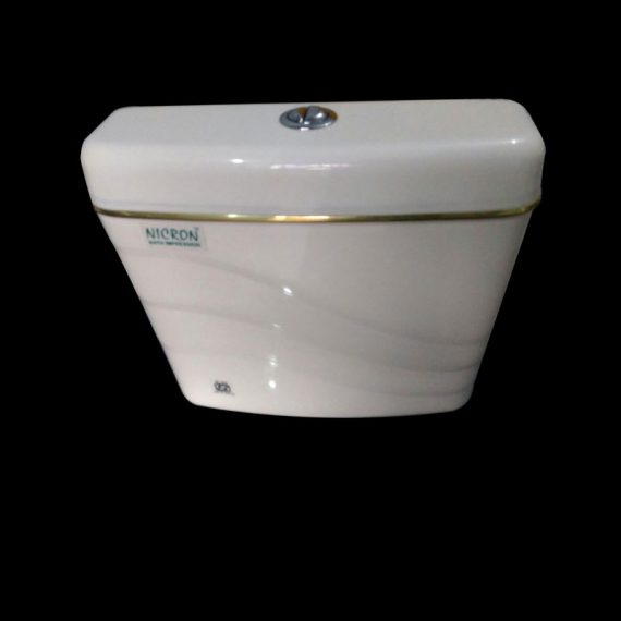 Slim-Model--Dual-FlushCiste